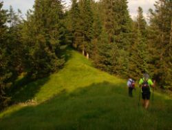 2013-07-20_Regina-F-Rau_Kochel-Rabenkopf (417).JPG